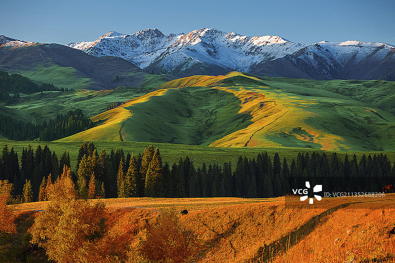 新疆维吾尔自治区伊犁山脉风光图片素材