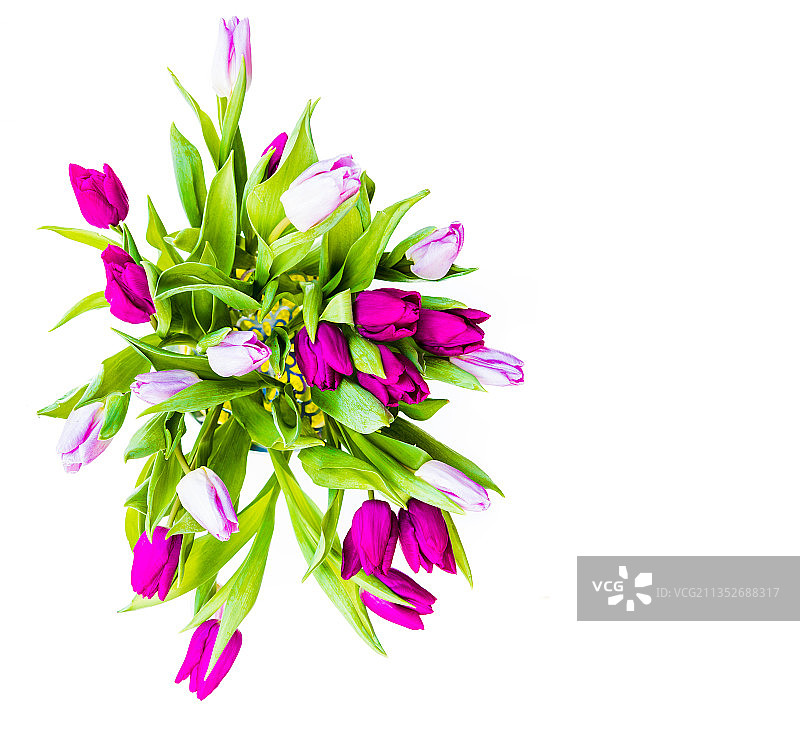 白色背景上的彩色花朵特写图片素材