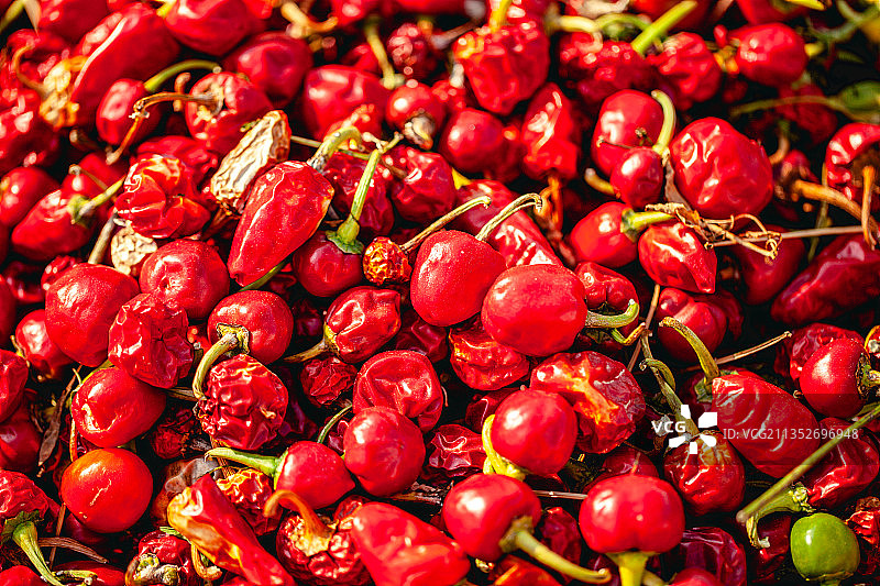 新疆沙湾安集海辣椒农业丰收晒场图片素材