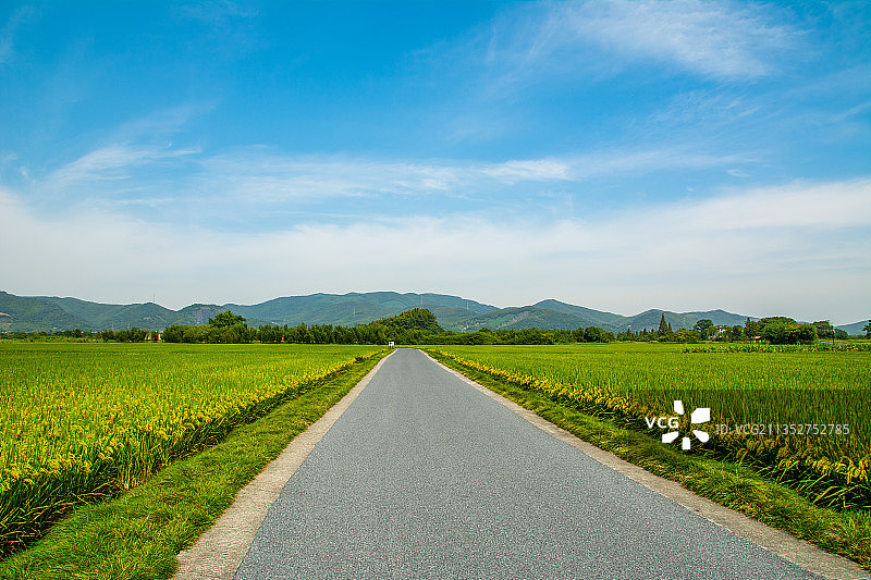 杭州良渚古城遗址乡村农村田园风光 道路柏油路公路汽车广告背景图片素材