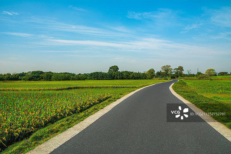 杭州良渚古城遗址乡村农村田园风光 道路柏油路公路汽车广告背景图片素材