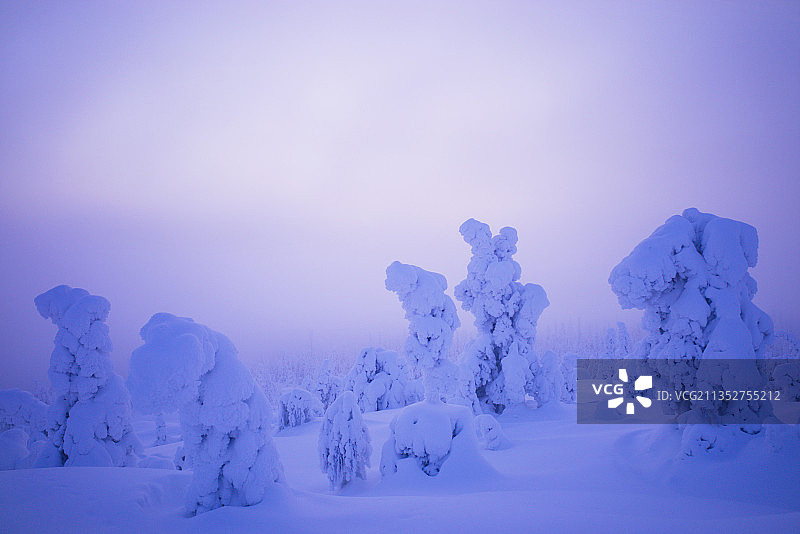 芬兰泰瓦尔斯科斯基雪景风光图片素材