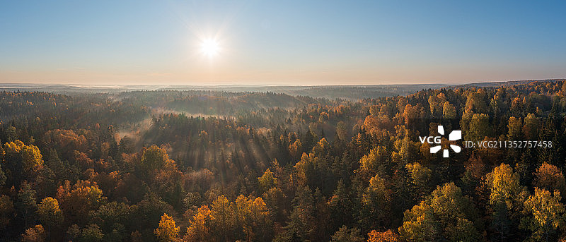俄罗斯日落森林风光图片素材