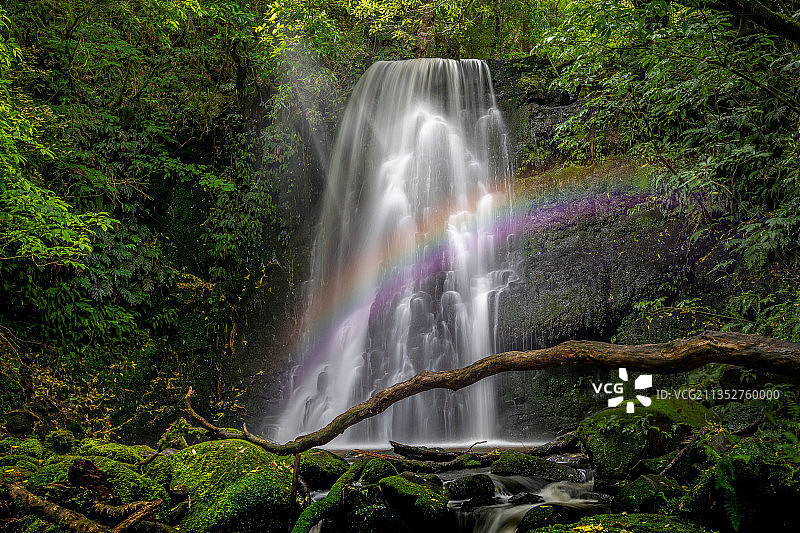 卡特林斯森林公园瀑布风景，新西兰图片素材