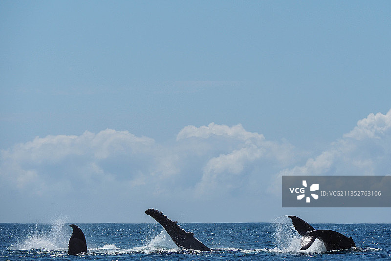 在澳大利亚昆士兰州莫顿岛海边冲浪的人们图片素材