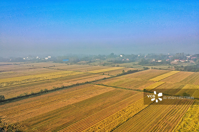 小江湖辽阔的稻田图片素材