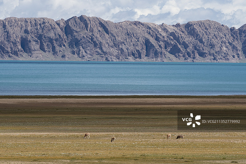 西藏最大湖泊色林措风光，人间天堂圣湖色林错图片素材