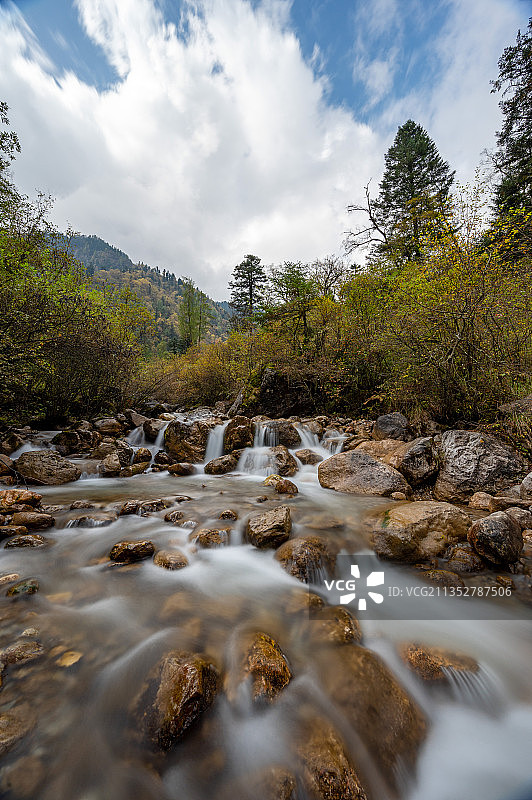 秋天森林中的河水图片素材