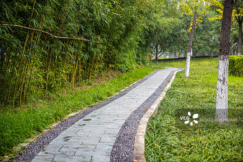园林间的小路图片素材