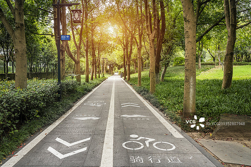 公园骑行生态廊道图片素材