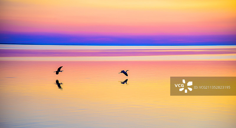 湖中相会图片素材