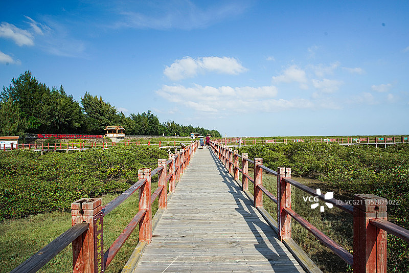 北海红树林图片素材