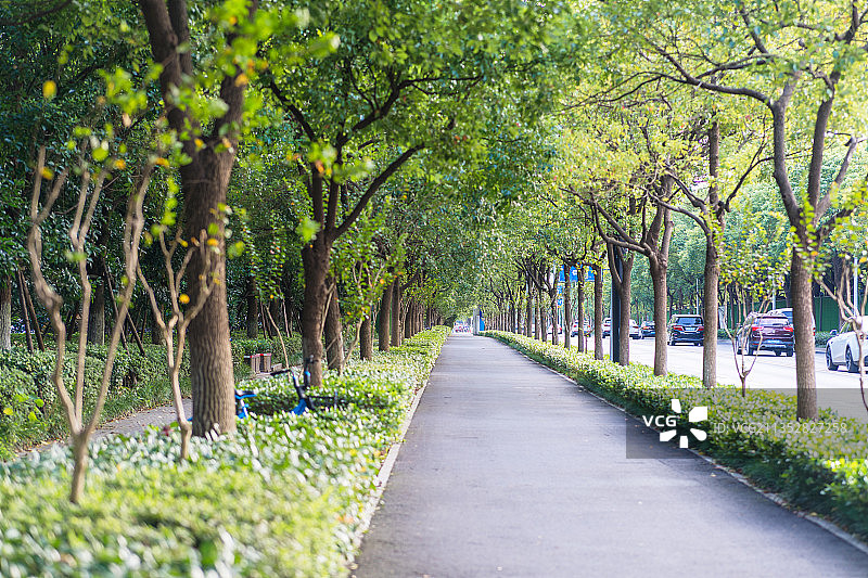 浙江杭州滨江闻涛路非机动车道图片素材