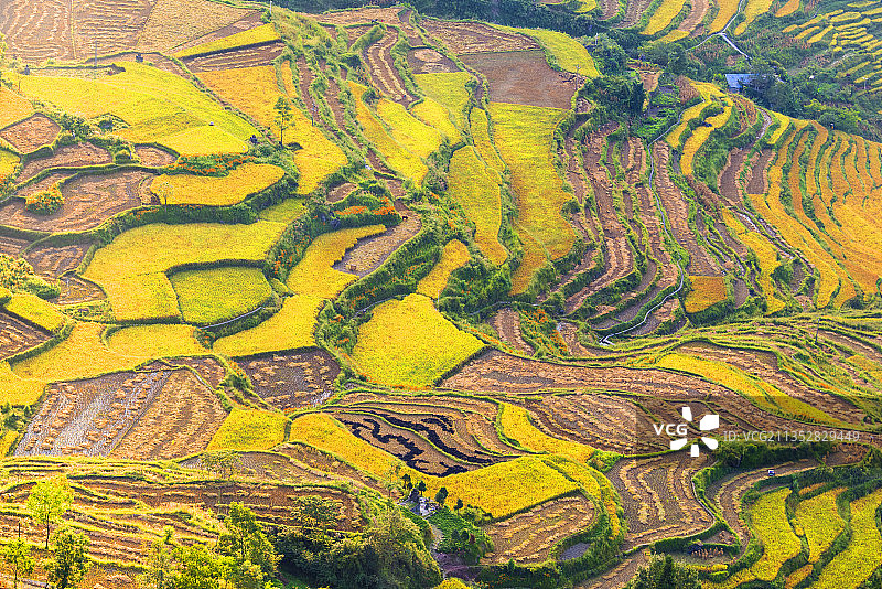 鸟瞰重庆酉阳花田乡何家岩梯田秋意图片素材