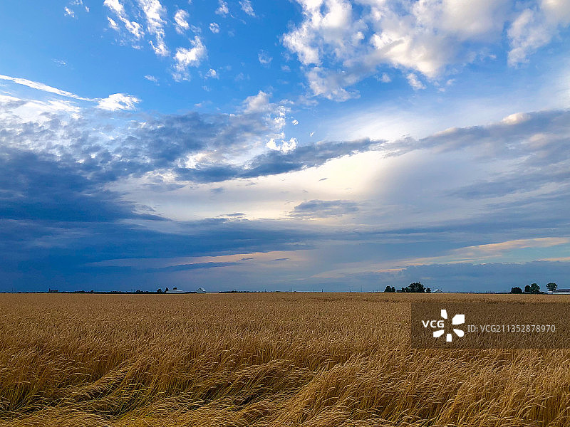 美国伊利诺伊州特雷蒙特农业景观图片素材