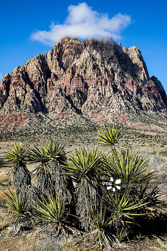 美国内华达州克拉克县岩石山脉风光图片素材