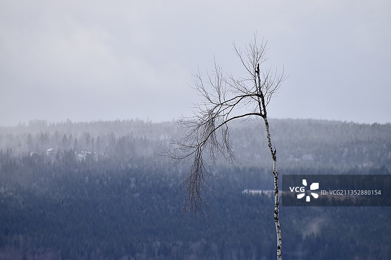 瑞典Ockelbo市的雪景图片素材