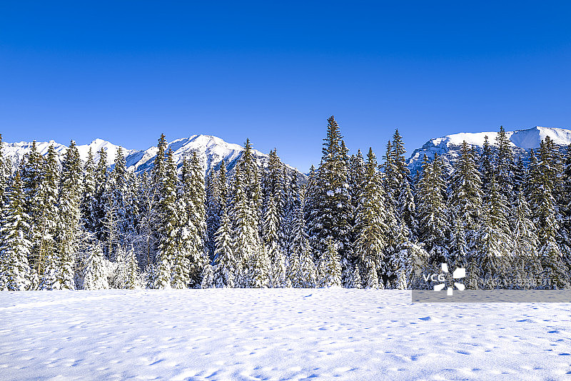 加拿大阿尔伯塔省雪原风光图片素材