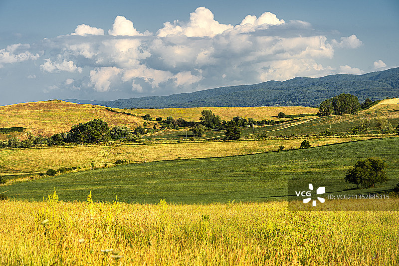 意大利科森扎卡米利亚泰洛西拉诺的田野风光图片素材