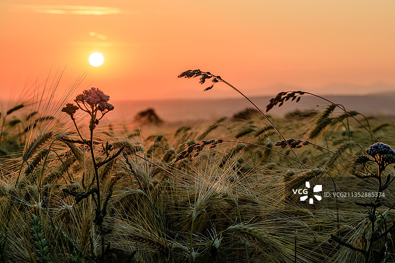 德国莱茵巴赫日落时分的原野风光图片素材