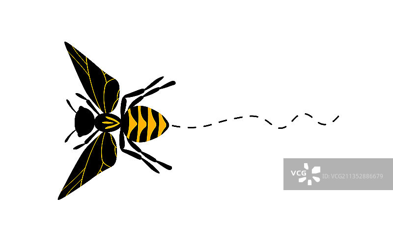 卡通蜜蜂吉祥物和小蜜蜂图片素材