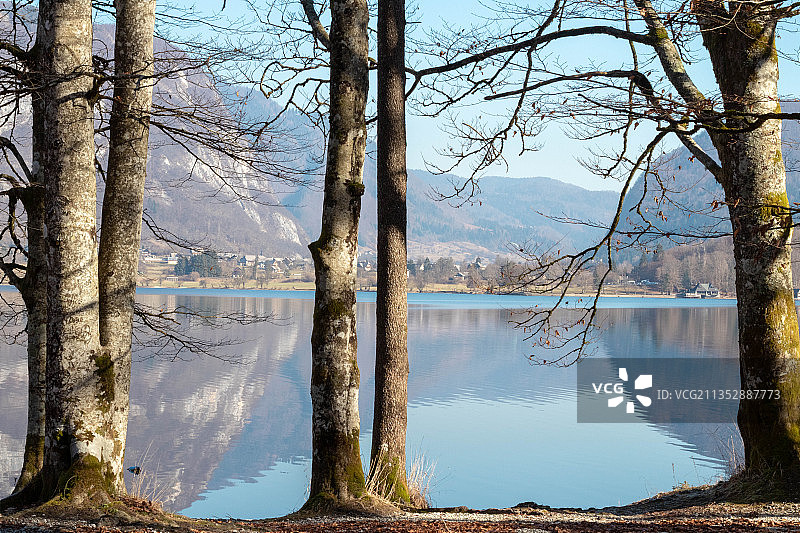 斯洛文尼亚湖畔树木天空景色图片素材