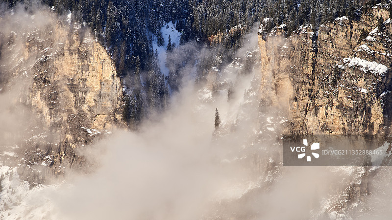 法国莫尔济讷冬季森林中的树木高角度景观图片素材