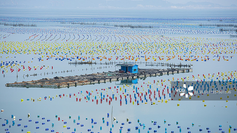 汕头南澳岛海上养殖场图片素材