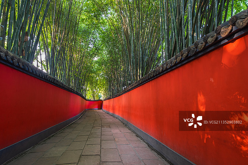 成都武侯祠内红墙青瓦和竹子（绿竹）,中国风背景图图片素材
