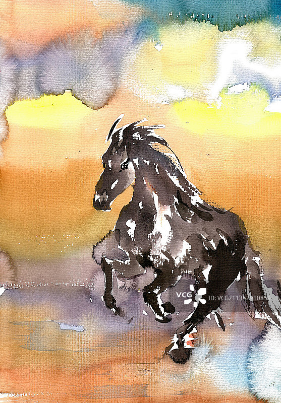 水中的奔马图片素材