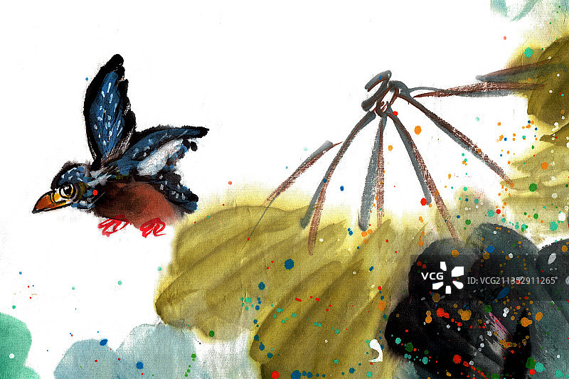 飞翔的翠鸟图片素材