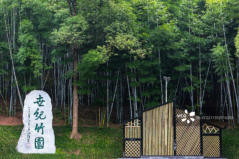 宜宾世纪竹园一角图片素材