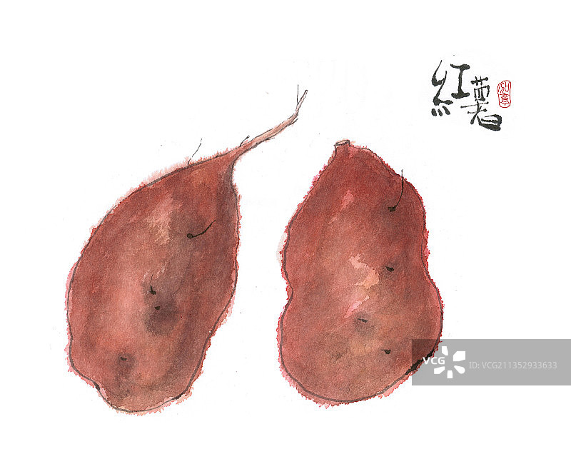 水墨设色国画小品 红薯图片素材