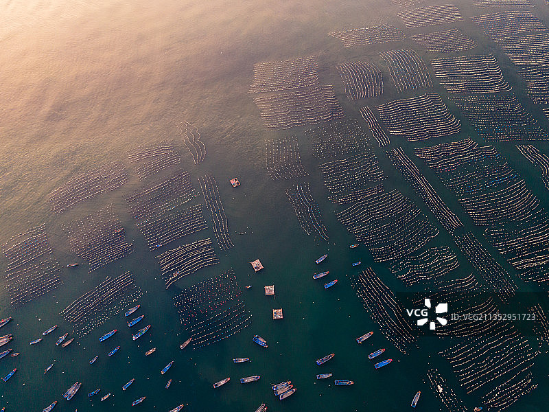 浙江，舟山，嵊泗县，枸杞岛海上牧场航拍图片素材