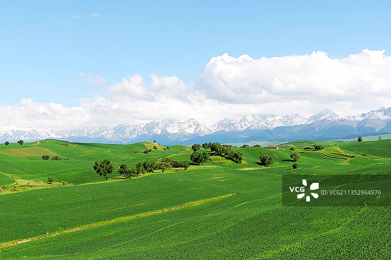 江布拉克草原风光图片素材