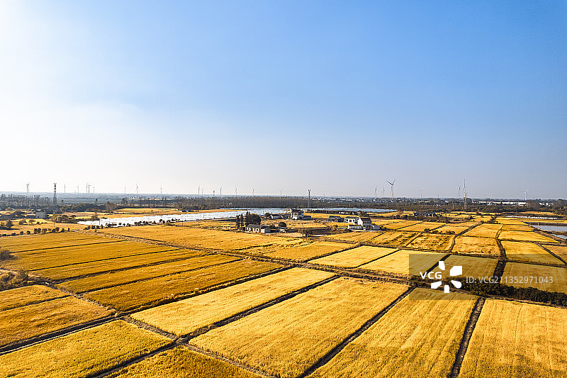 扬州仪征大仪镇秋季丰收图片素材