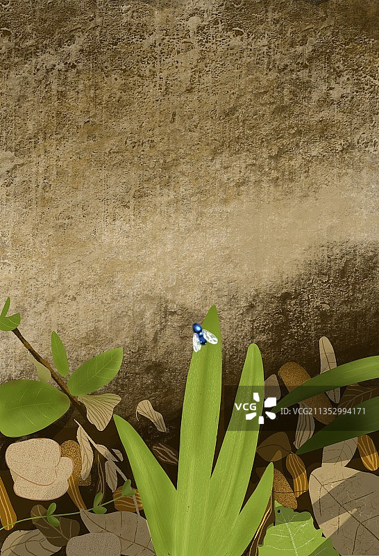 叶子与昆虫图片素材