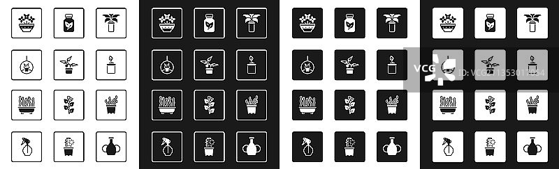 悬挂盆栽异国情调热带植物图片素材