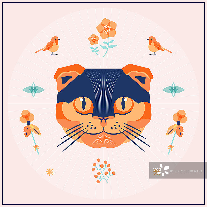 猫 猫头 动物 猫的脸部图片图片素材