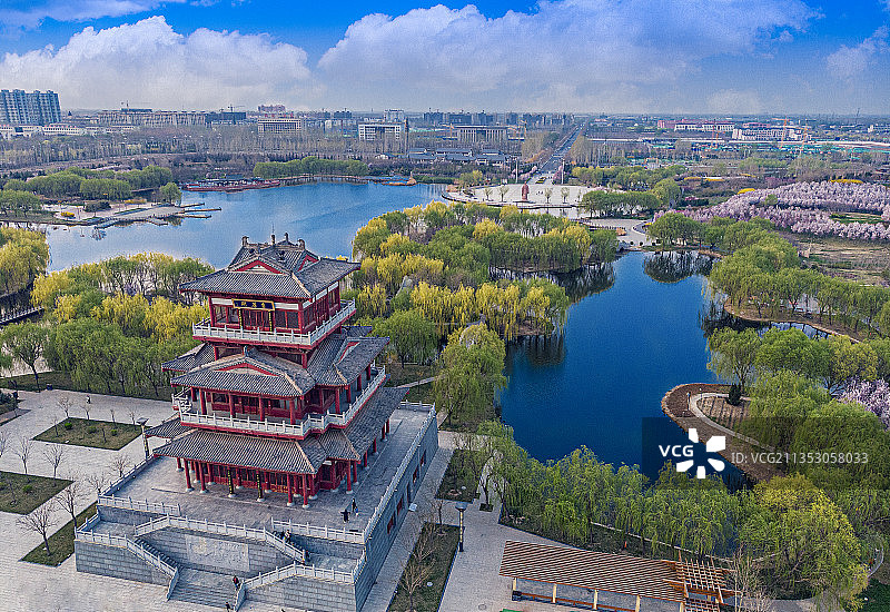 大美鸡泽图片素材