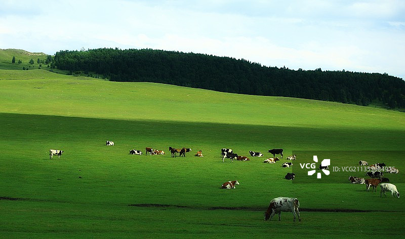 呼伦贝尔草原图片素材