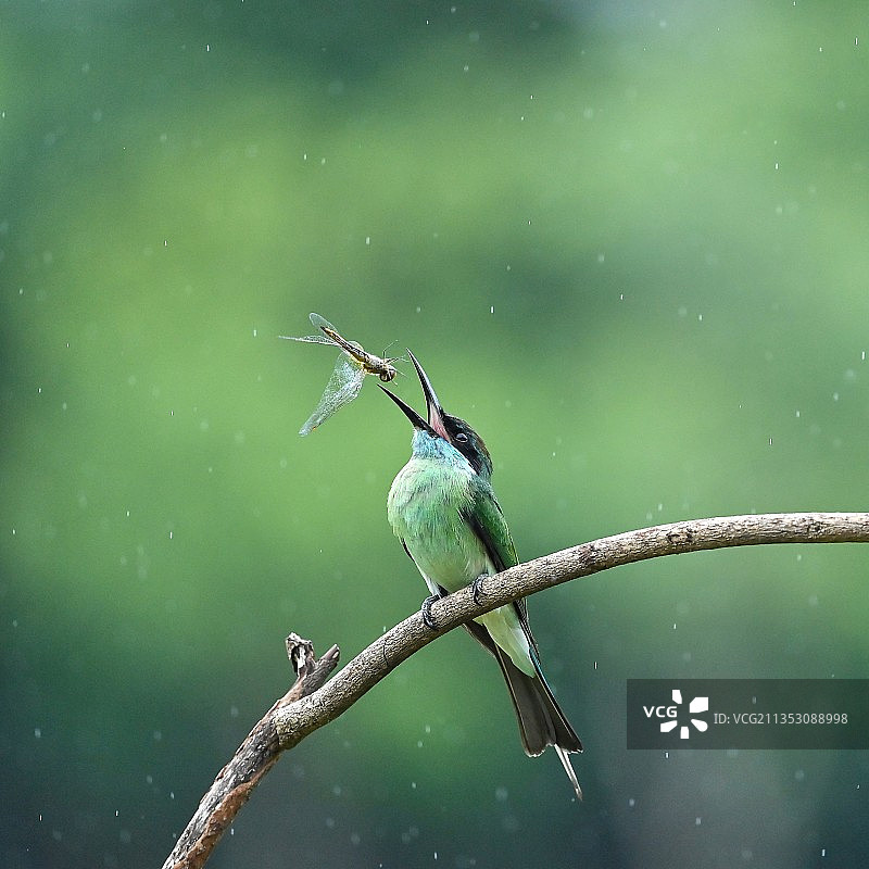 雨中快餐图片素材