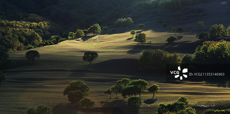 日落下的疏林草原图片素材