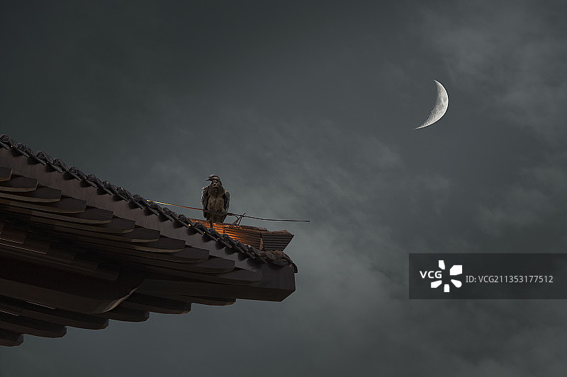 图像合成月如钩图片素材