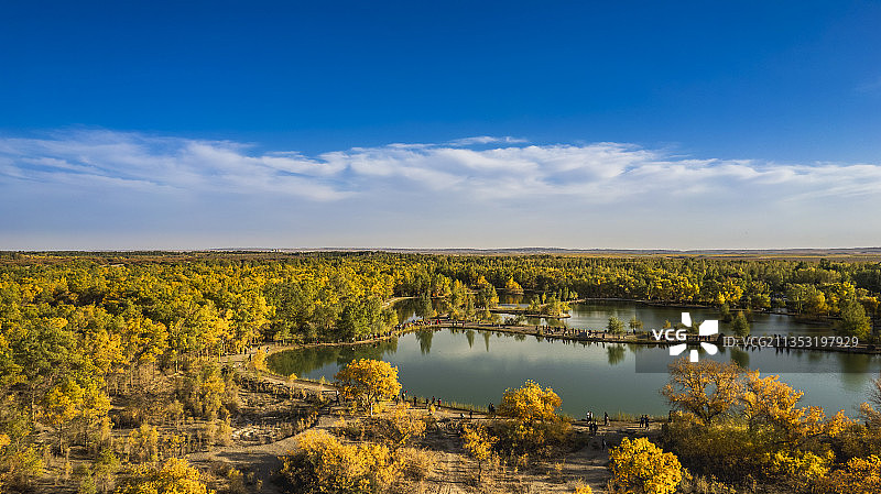 金波湖.金塔胡杨林图片素材