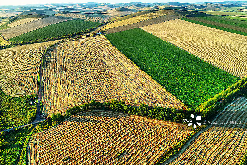 航拍呼伦贝尔垦区田野秋色图片素材