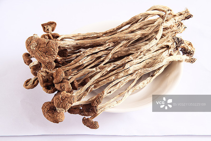 干货 茶树菇图片素材