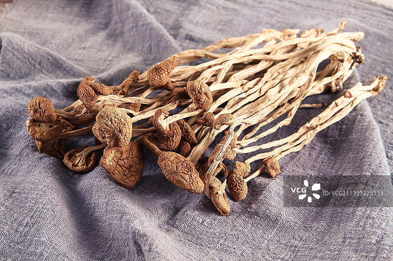 干货 茶树菇图片素材