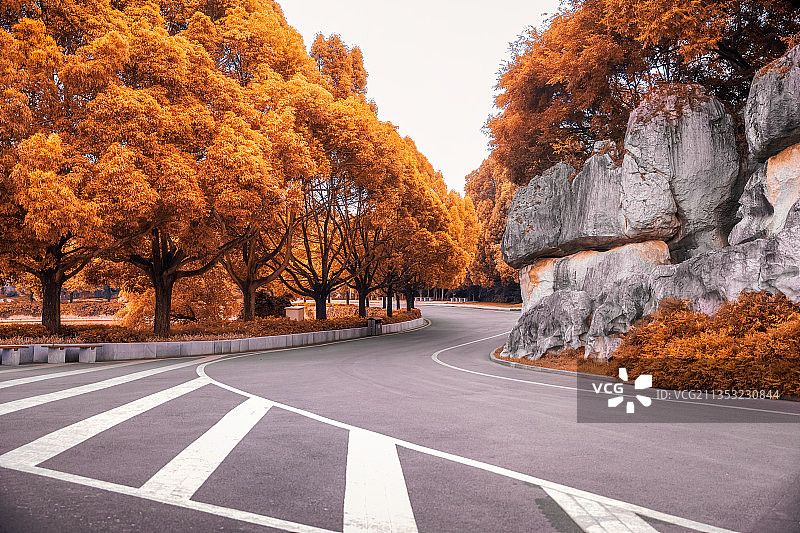 秋天公路路面图片素材