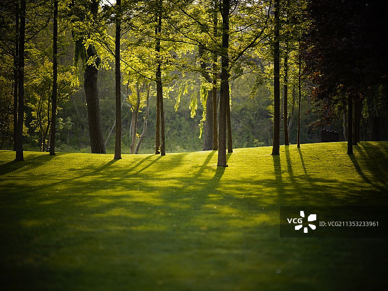 郑州果岭山水图片素材